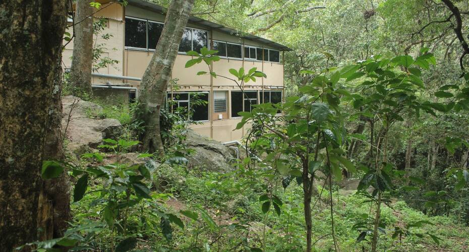 Secret Valley Jungle Resort, Ooty 1