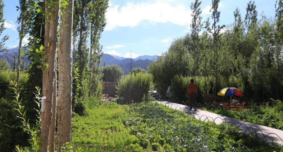 Amir homestay chuchot gongma leh, Leh 4
