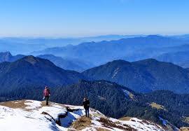 Pangot Himalayan View, Nainital 4