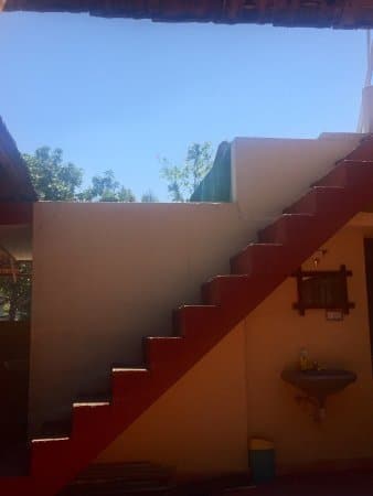 Mickey Homestay, Thekkady 4