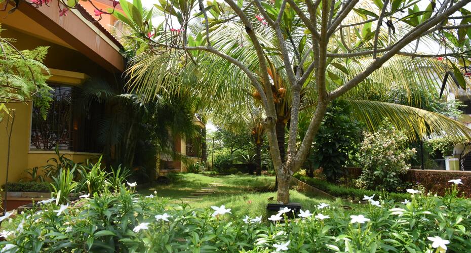 The Mango Villa, Ratnagiri 5