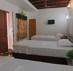 Ashdale Resort, Alleppey 5