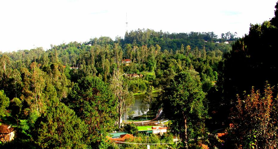 Maruti Villa Amazing Lake View, Kodaikanal 1