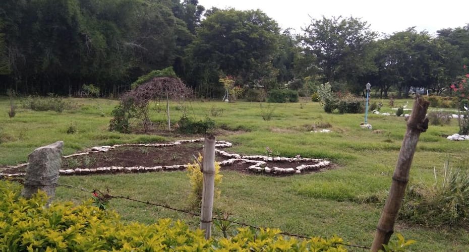 Blue Valley Jungle Resort, Masinagudi 2