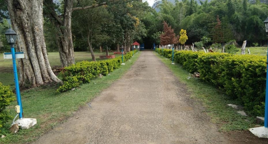 Blue Valley Jungle Resort, Masinagudi 4