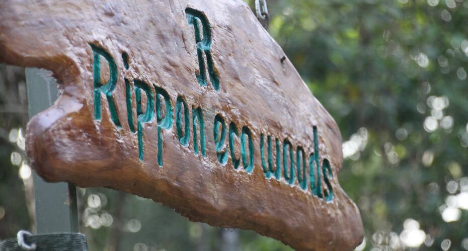 Rippon Eco Woods, Wayanad 3