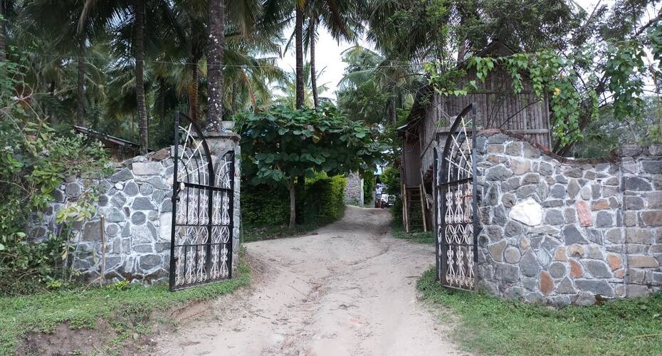 Jungle Paradise, Masinagudi 3