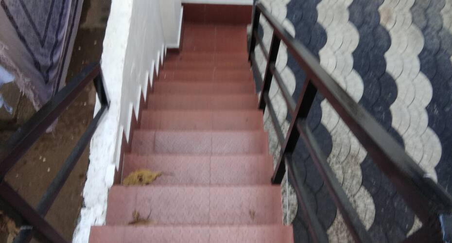 Lizs Homestay, Kochi 2