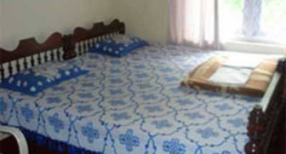 Baby Estate, Coorg 1