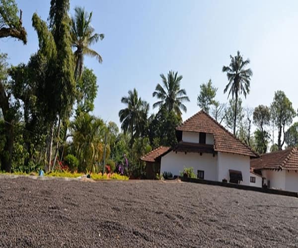 Homestay Estate In The Lap OF Talacauvery, Coorg 3