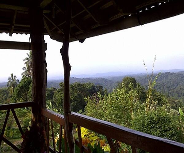 Homestay Estate On Mountain, Coorg 4