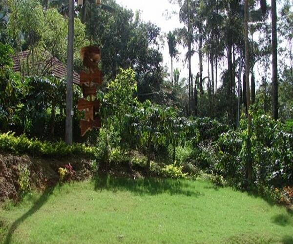 Homestay With Privacy Perfect For Couples, Coorg 5