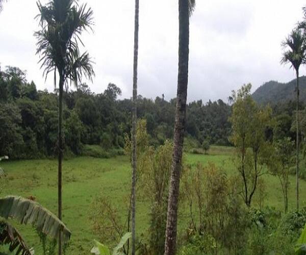 Rural Homestay, Coorg 5
