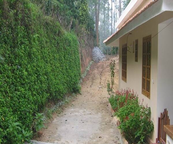 Homestay In A Coffee Estate, Coorg 5