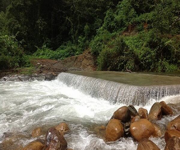 Estate Stay With Quad Bike, Coorg 5