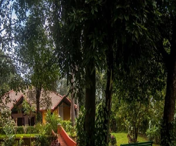 Estate Homestay In Central Coorg, Coorg 3