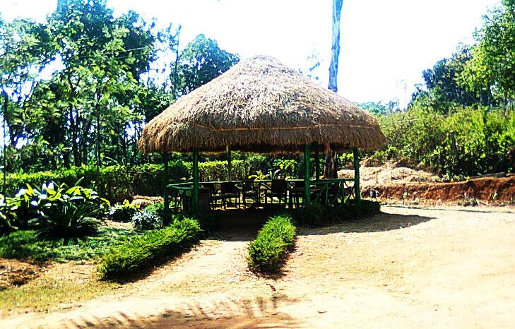 Hasiru Dorm, Chikmaglur 5