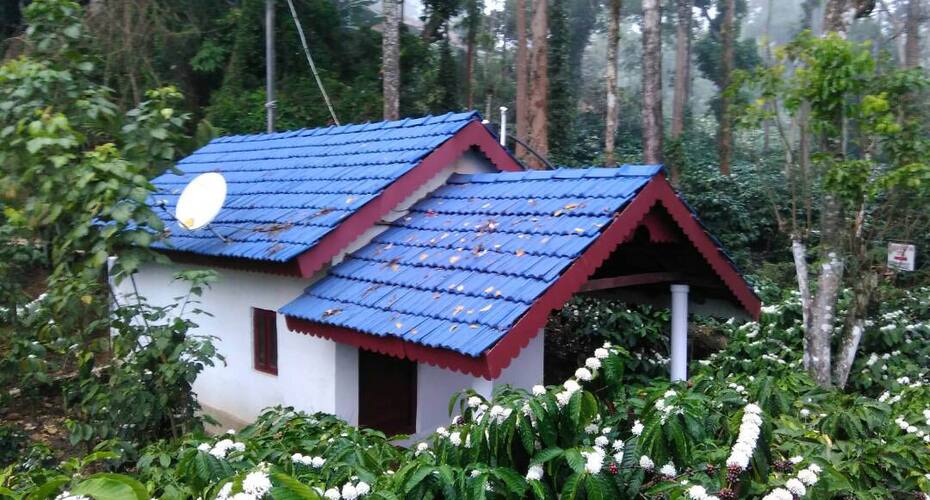 Jammabane Homestay, Chikmaglur 1