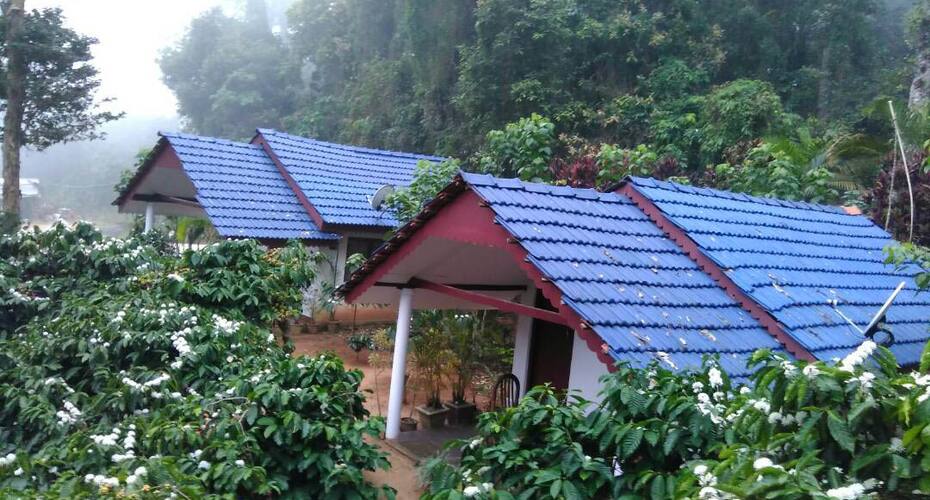 Jammabane Homestay, Chikmaglur 2