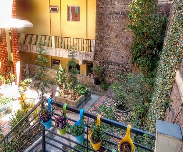 Serenity Homestay, Kasauli 4