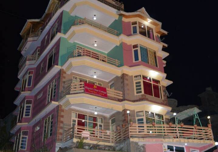 Rigzin Nest Cottage, Manali 4