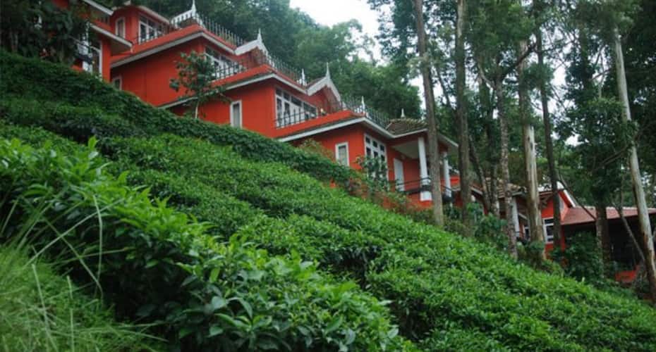 Tea Valley Adventures Resort Munnar Price, Reviews, Photos & Address