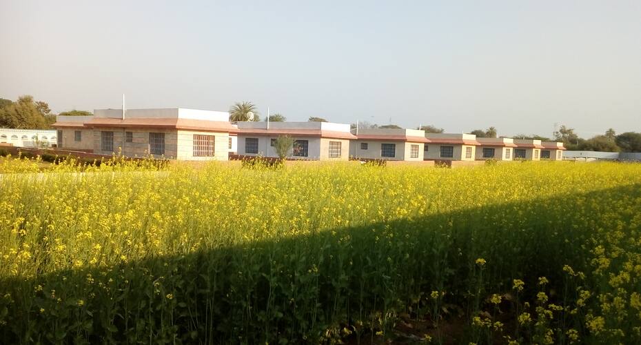 Jawai Safari Camp, Pali 2