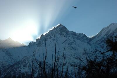 Hotel Golden Apple, Kalpa 4