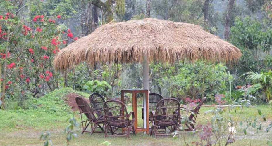 Bean Zone Homestay, Chikmaglur 3