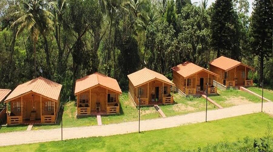 Coffee Cadu Estate, Coorg 1