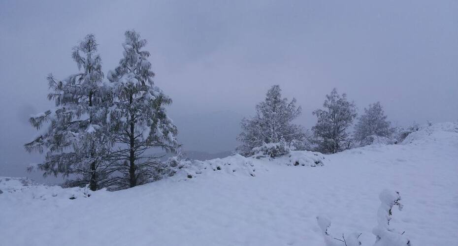 Hotel Snow View, Chakrata 5