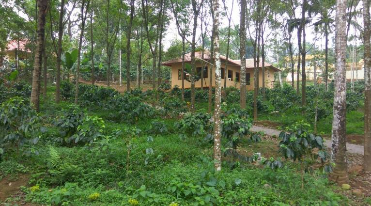 Himadri Retreat Cottages, Wayanad 5