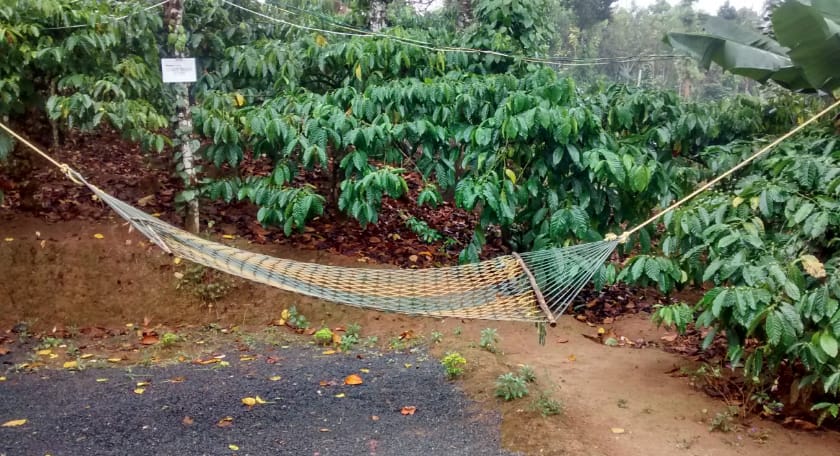 Himadri Retreat Cottages, Wayanad 4