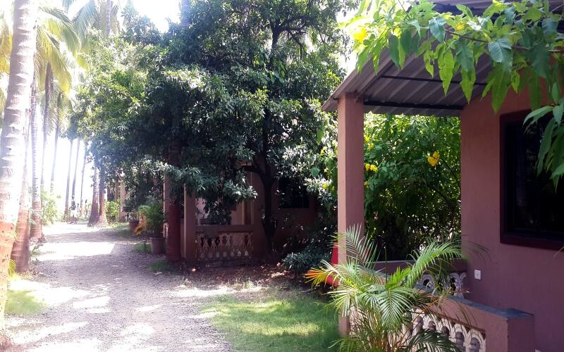 Pearline Beach Cottages and villas, Dahanu 5