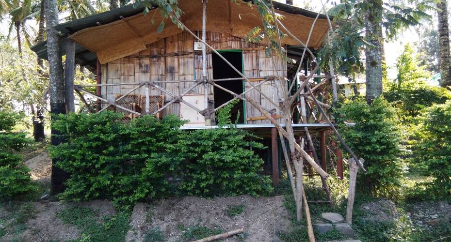 Paradise Hut, Masinagudi 1