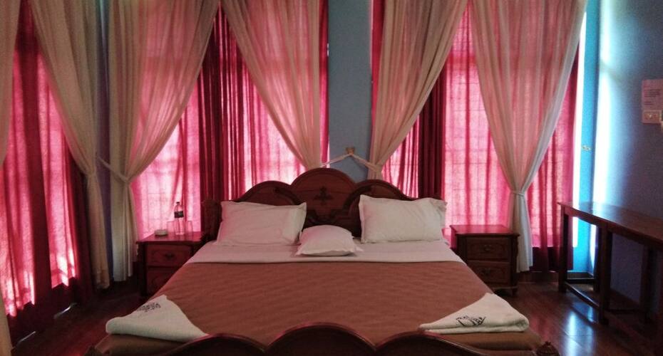 Gold View Cottage, Masinagudi 4