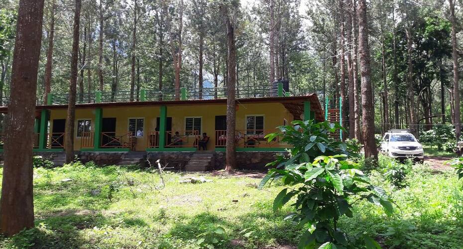 Nature And Wild Singara, Gudalur 1
