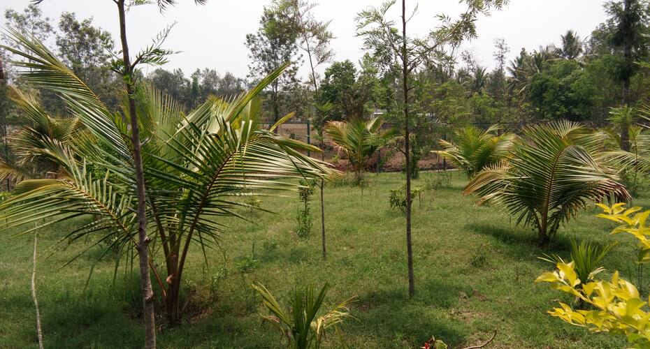 Coorg Nest Cottages 2, Kushalnagar 4