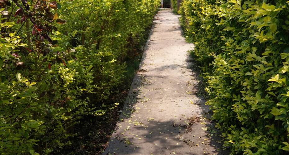Coorg Nest Cottages 2, Kushalnagar 5