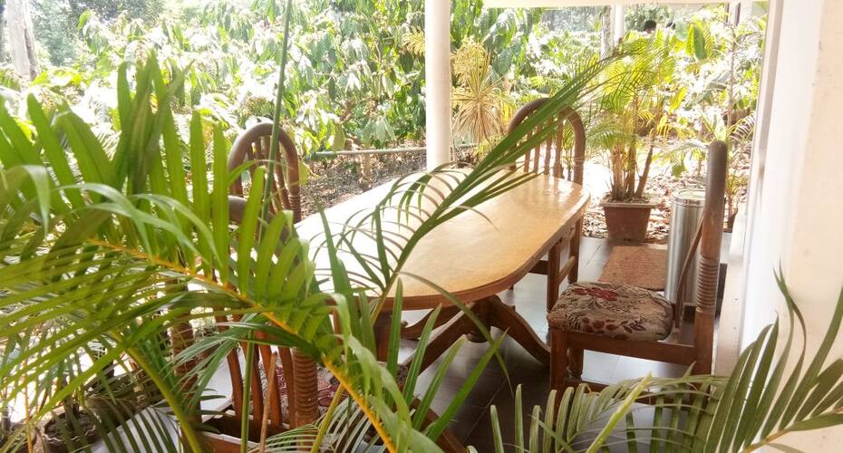 Jammabane Cottage 3, Madikeri 3