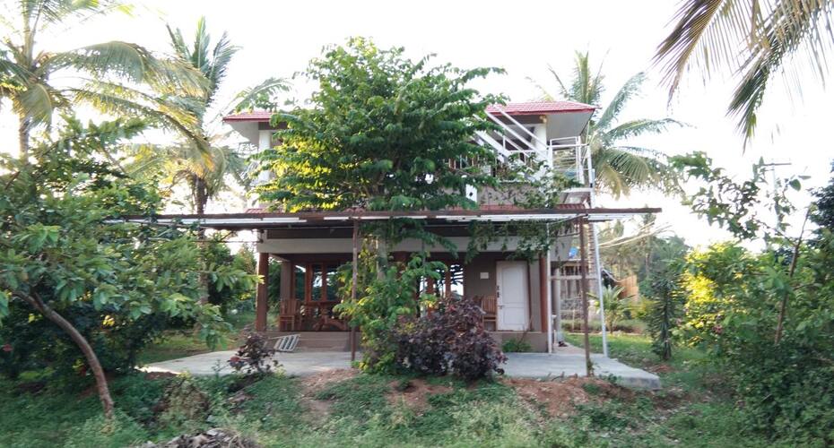 Green Field Cottage, Masinagudi 1