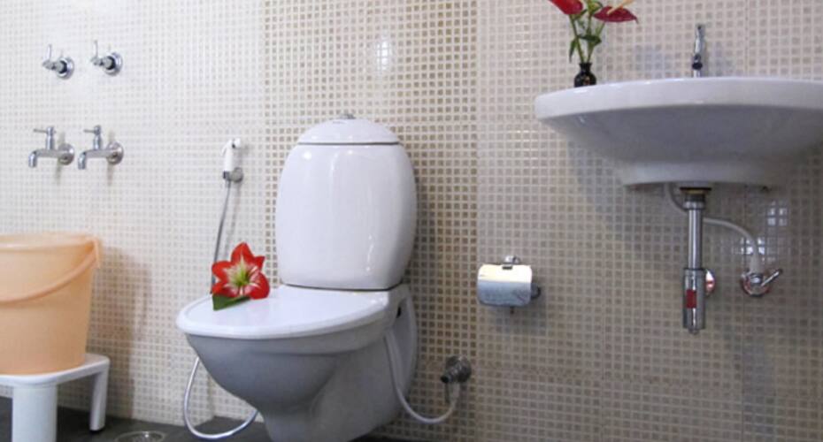 Thotadhahalli Homestay, Chikmaglur 3