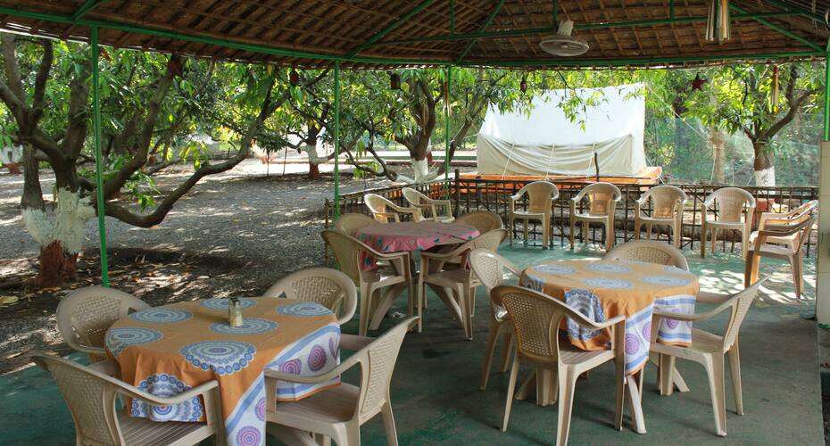 The Brooke Ville, Sasan Gir 4