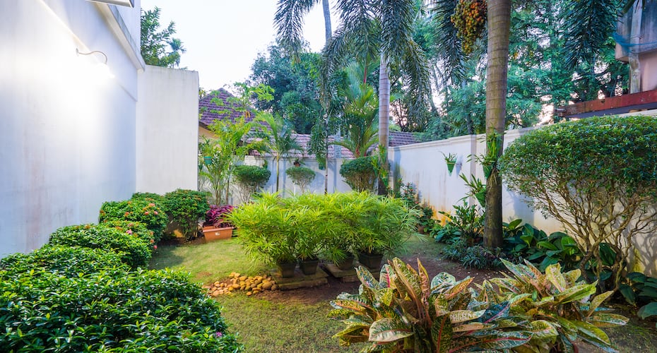 Tissa's Inn, Kochi 5