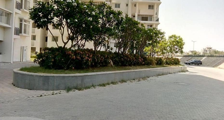 Maytas 1BHK Room by Tripvillas, Hyderabad 2