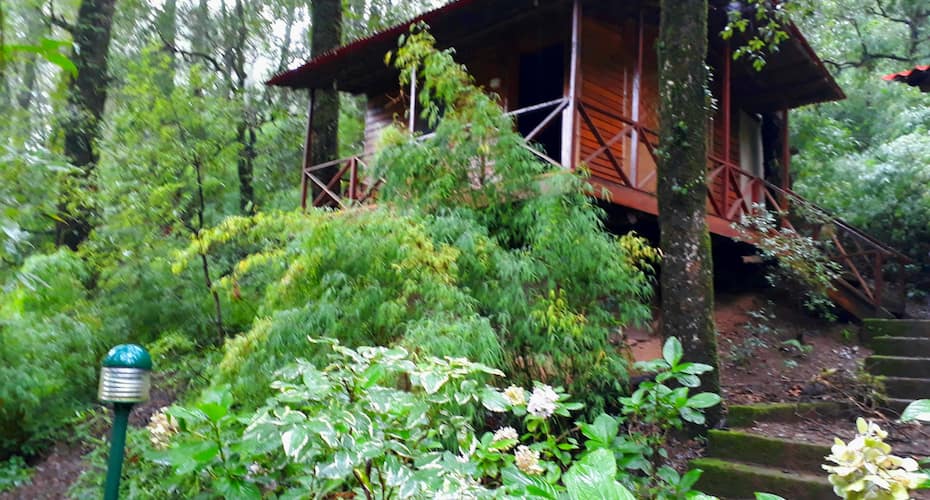 Ayar Jungle Resort, Nainital 2