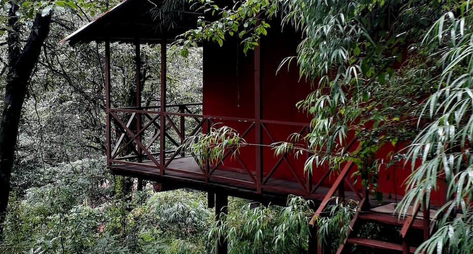 Ayar Jungle Resort, Nainital 3