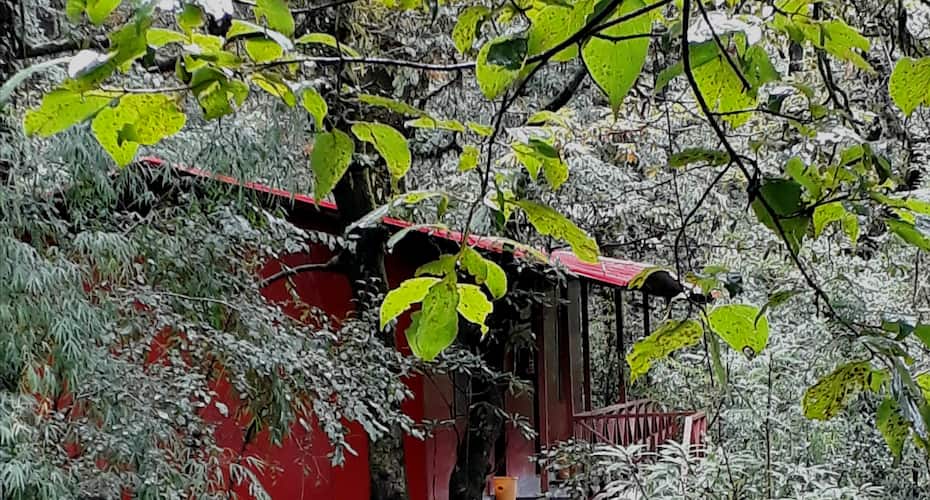 Ayar Jungle Resort, Nainital 4
