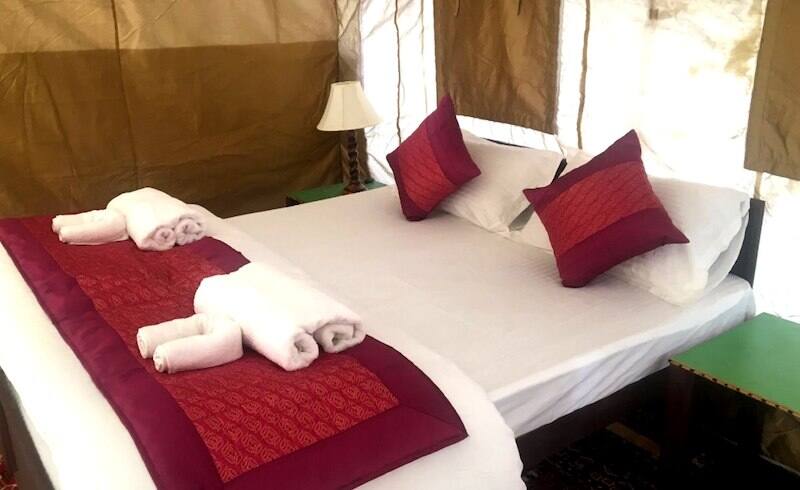 Paramount Camp Hotel, Nubra valley 4