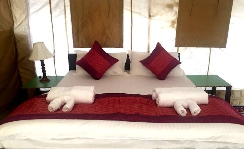 Paramount Camp Hotel, Nubra valley 3